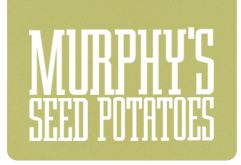 Murphy's Seed Potatoes