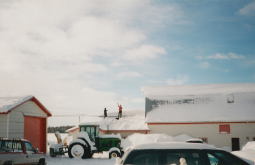 Clearing snow off barn roof at Murphy's Seed Potatoes